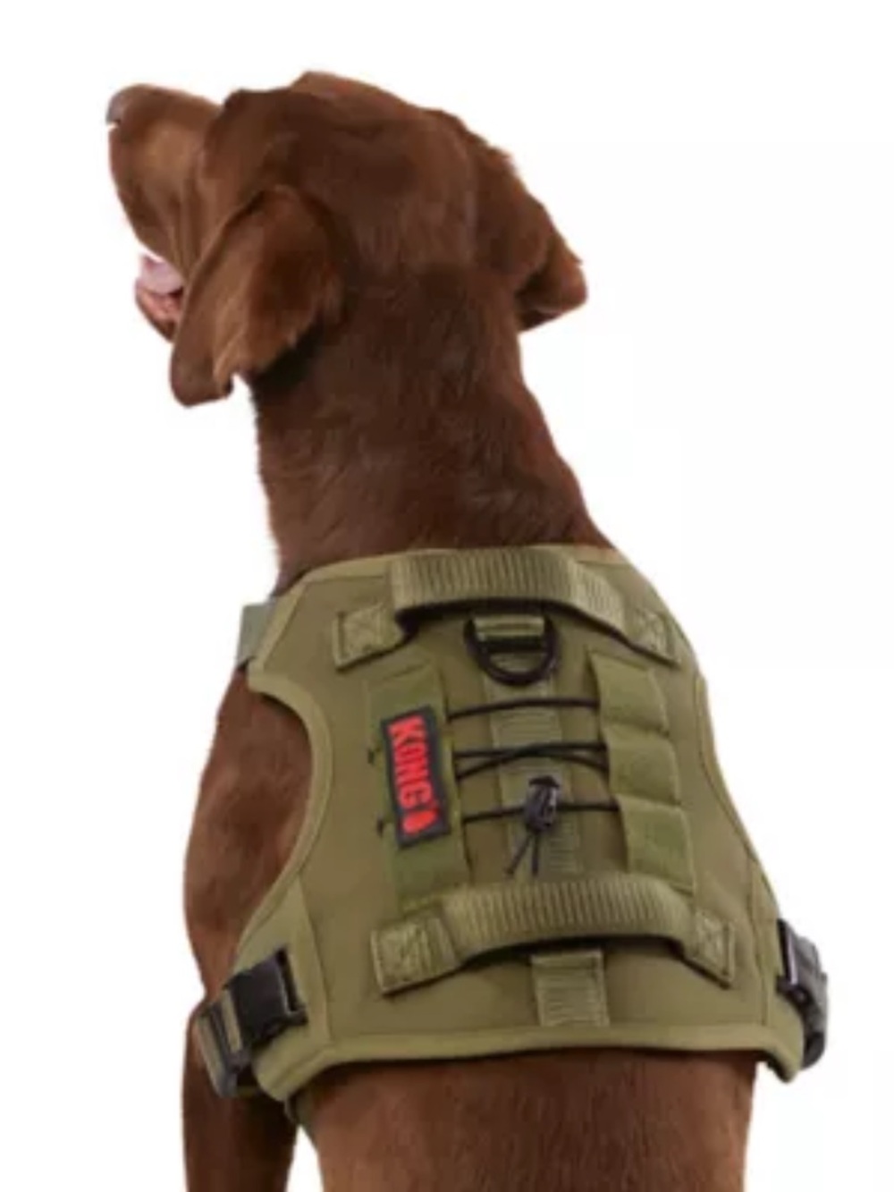 KONG Olive Green Double-Handle Adjustable Dog Harness